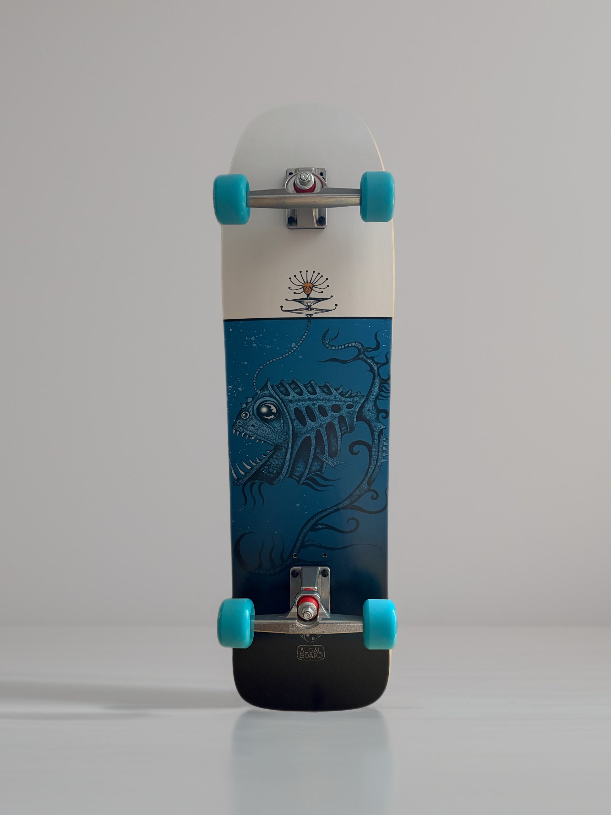 Tavola Surfskate 35" Glow | Algal Board