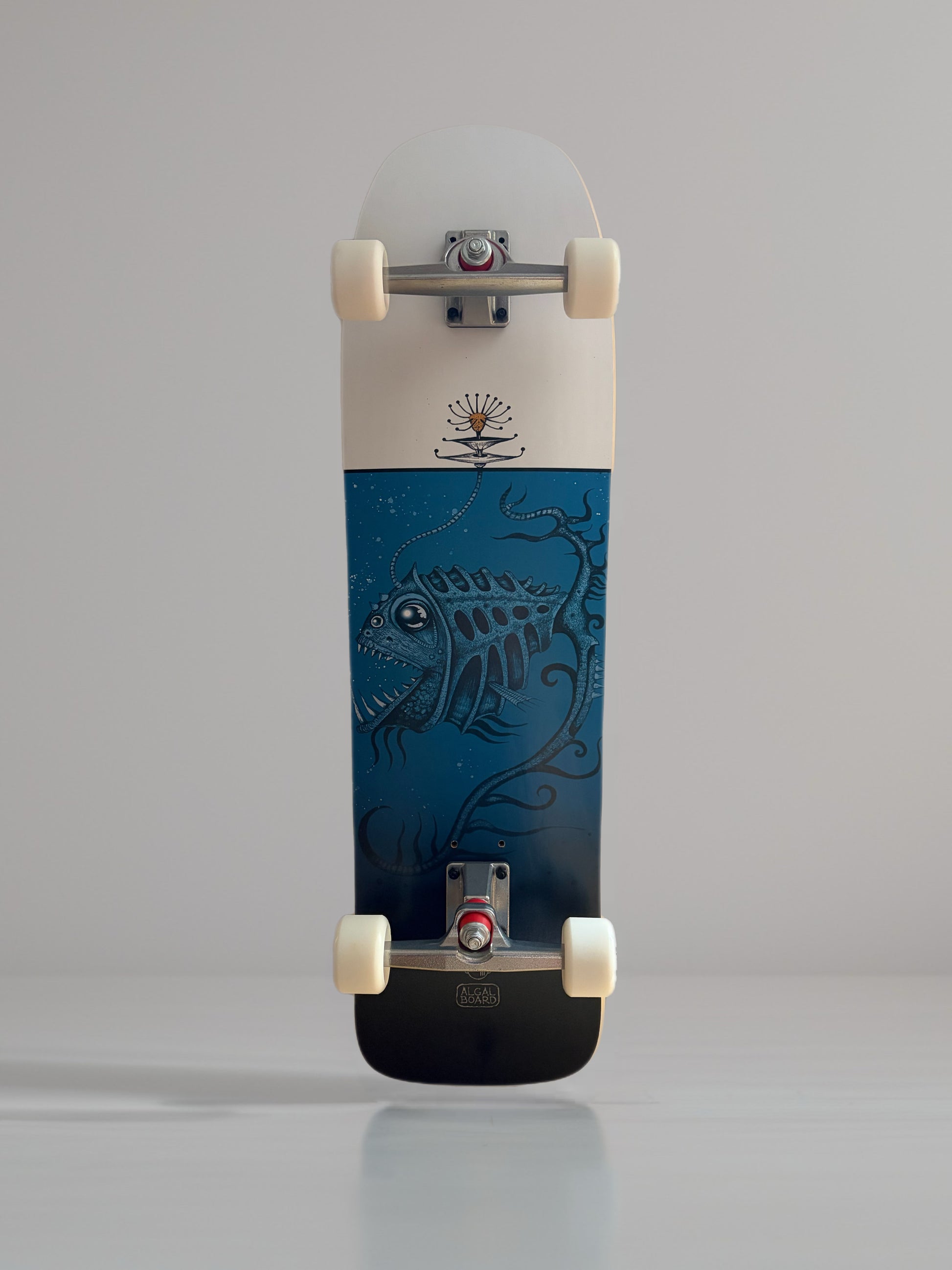 Tavola Surfskate 35" Glow | Algal Board
