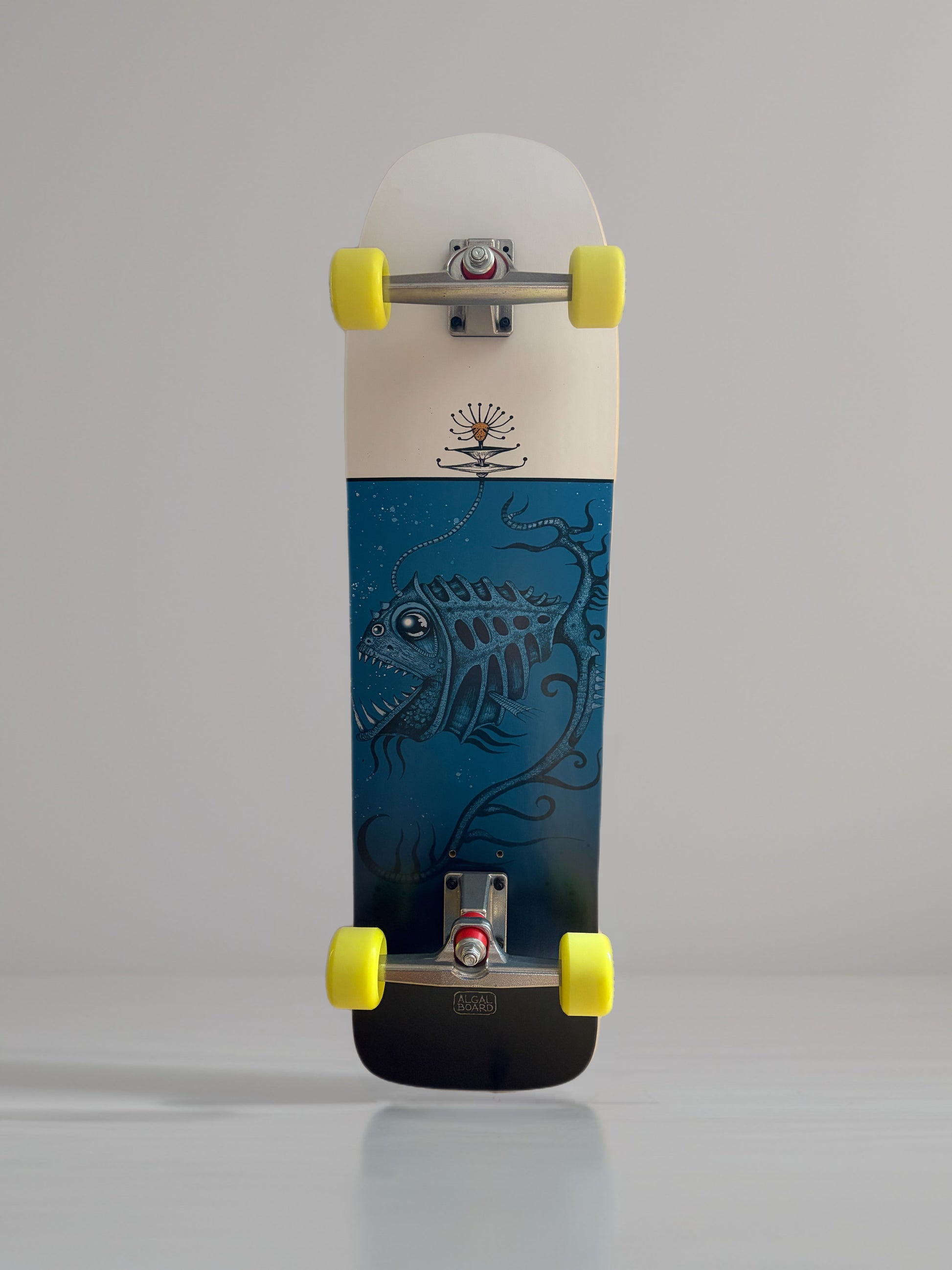 Tavola Surfskate 35" Glow | Algal Board